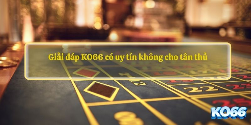 Giải đáp KO66 có uy tín không cho người mới